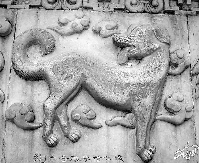 متولدین سال سگ 